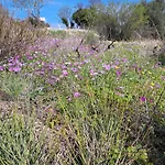 Vakantiehuis αγναντιο μεζονέτα 110 τ.μ. Spanokhórion