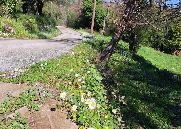 بيت للعطل αγναντιο μεζονέτα 110 τ.μ.