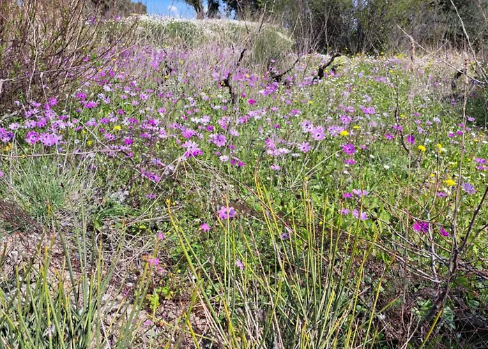 Сasa de vacaciones αγναντιο μεζονέτα 110 τ.μ. Spanokhórion